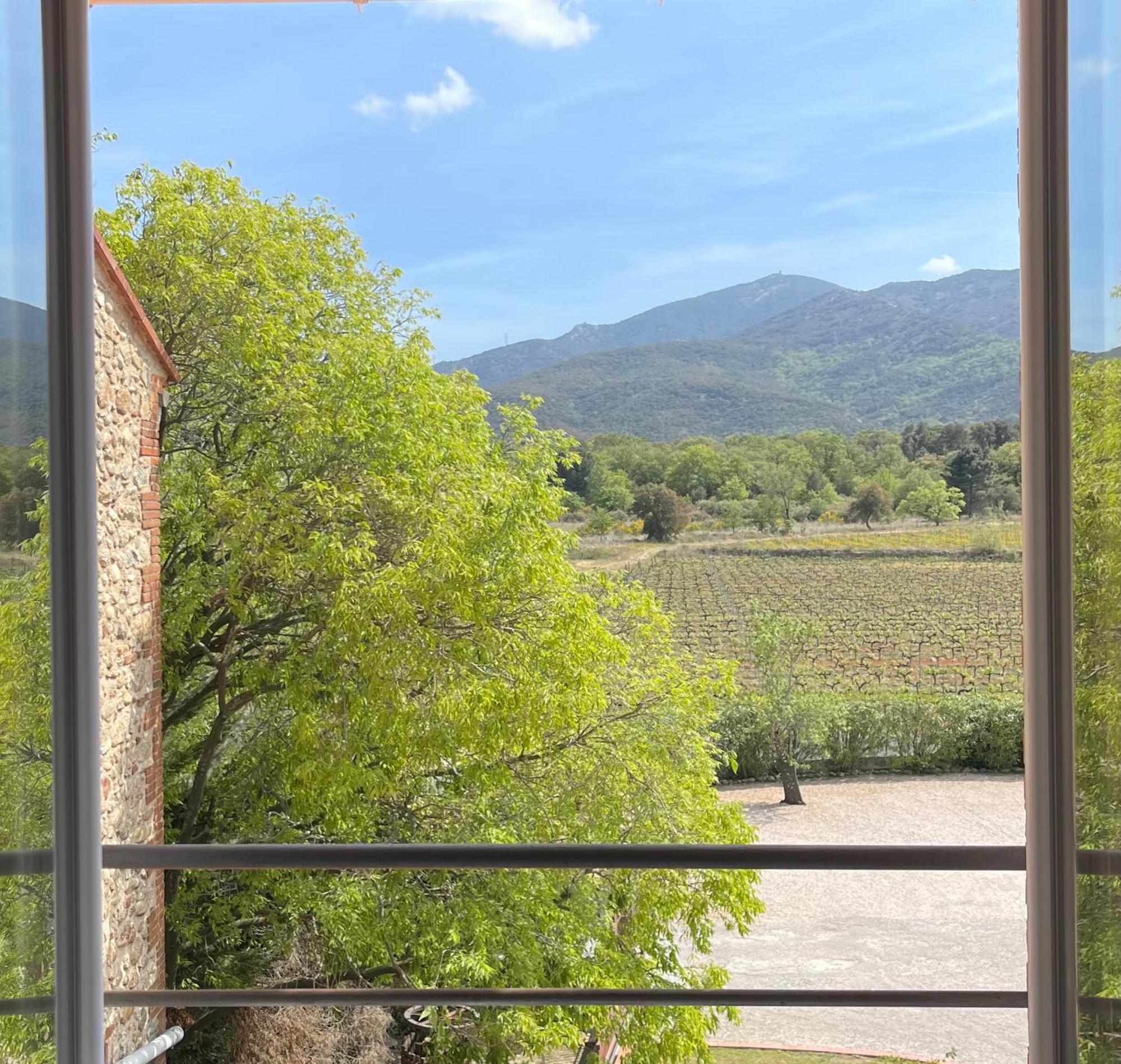 Auberge Du Roua Argeles-sur-Mer Luaran gambar